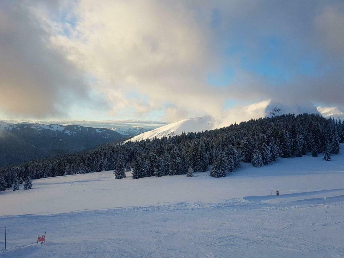 Praz-Du-Soleil F3 Apartment Les Gets Exterior photo